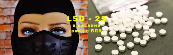 ECSTASY Богданович